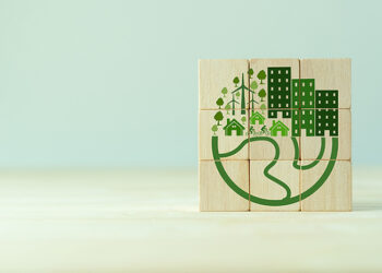 ¿Cómo debo enfocar la sostenibilidad en mi empresa?