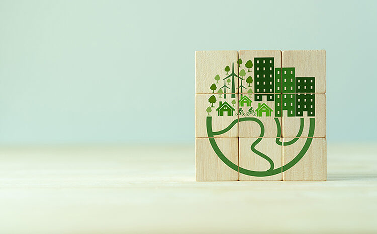 Com he d’enfocar la sostenibilitat a la meva empresa?