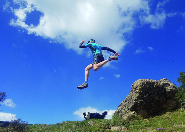 Mentalitat desafiadora