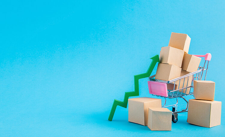 Maximizar la rentabilidad en las ventas minoristas: encontrar el equilibrio óptimo entre precios y estrategias de marketing