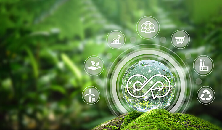 Profesiones del futuro. Economía verde