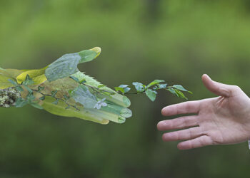 Revolución digital  y economía verde: los impulsores  de un nuevo  mercado laboral