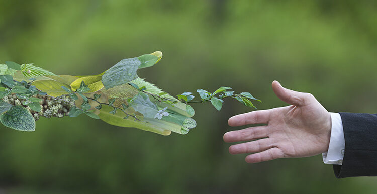 Revolución digital  y economía verde: los impulsores  de un nuevo  mercado laboral