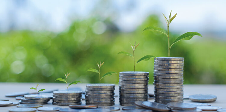 Desenvolupament econòmic sostenible: DAFO