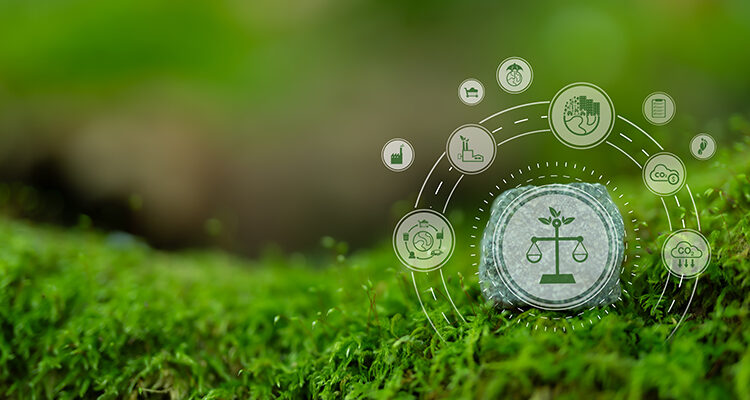 El somni del talibà