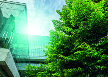 Las normas europeas de información de sostenibilidad (NEIS-ESRS)