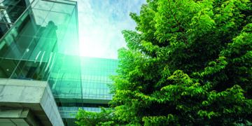 Las normas europeas de información de sostenibilidad (NEIS-ESRS)