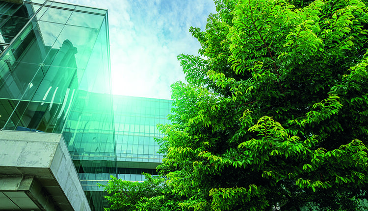 Les normes europees d’informació de sostenibilitat  (NEIS-ESRS)