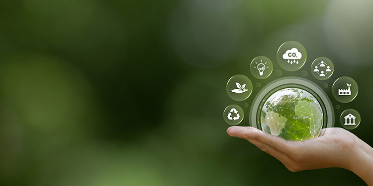 Les pimes,  al lloc de comandament  de la sostenibilitat