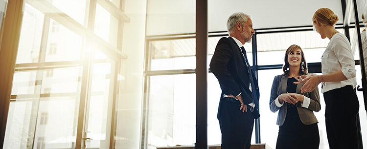 Formación continua: Economía, ADE Y MBA