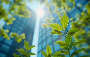 La sostenibilidad corporativa en un mundo global