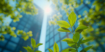 La sostenibilidad corporativa en un mundo global