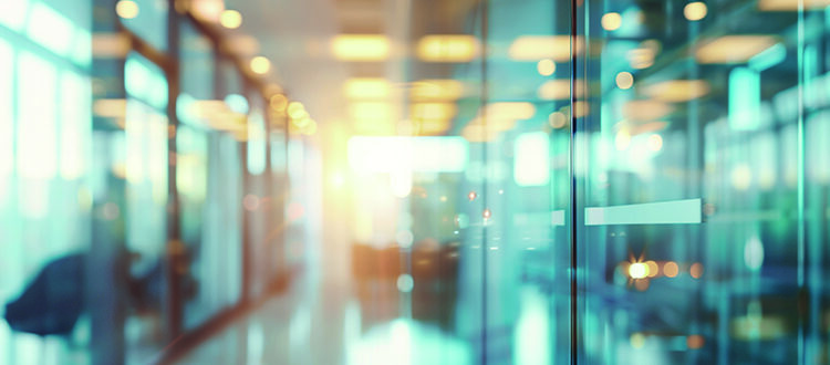 La pyme española:  reflexiones desde el siglo XIX